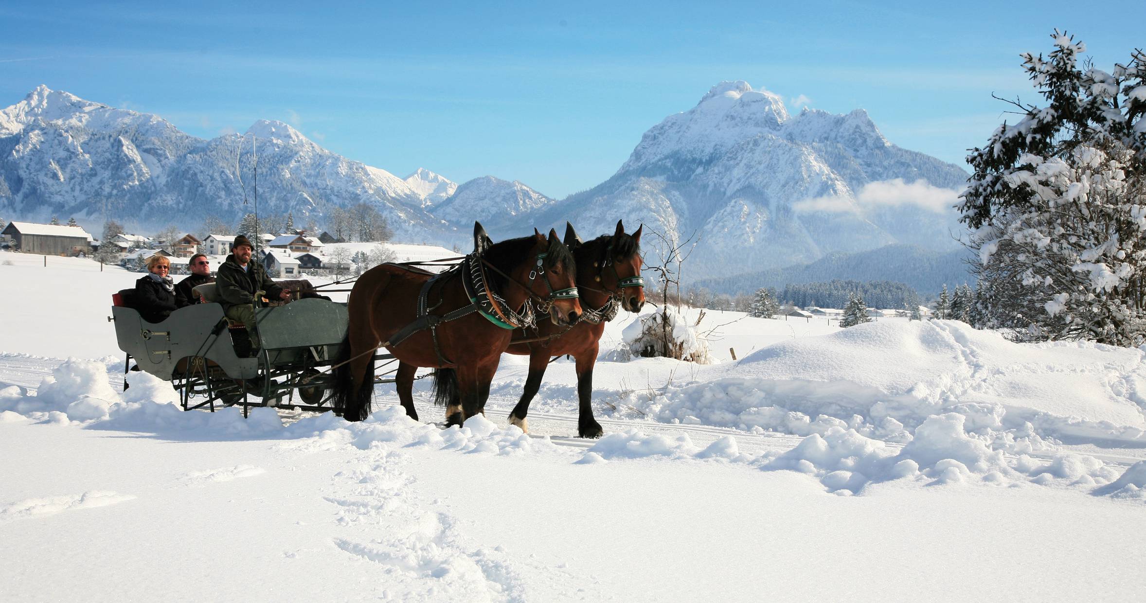 Pferdeschlittenfahrt im Allgäu im Winter