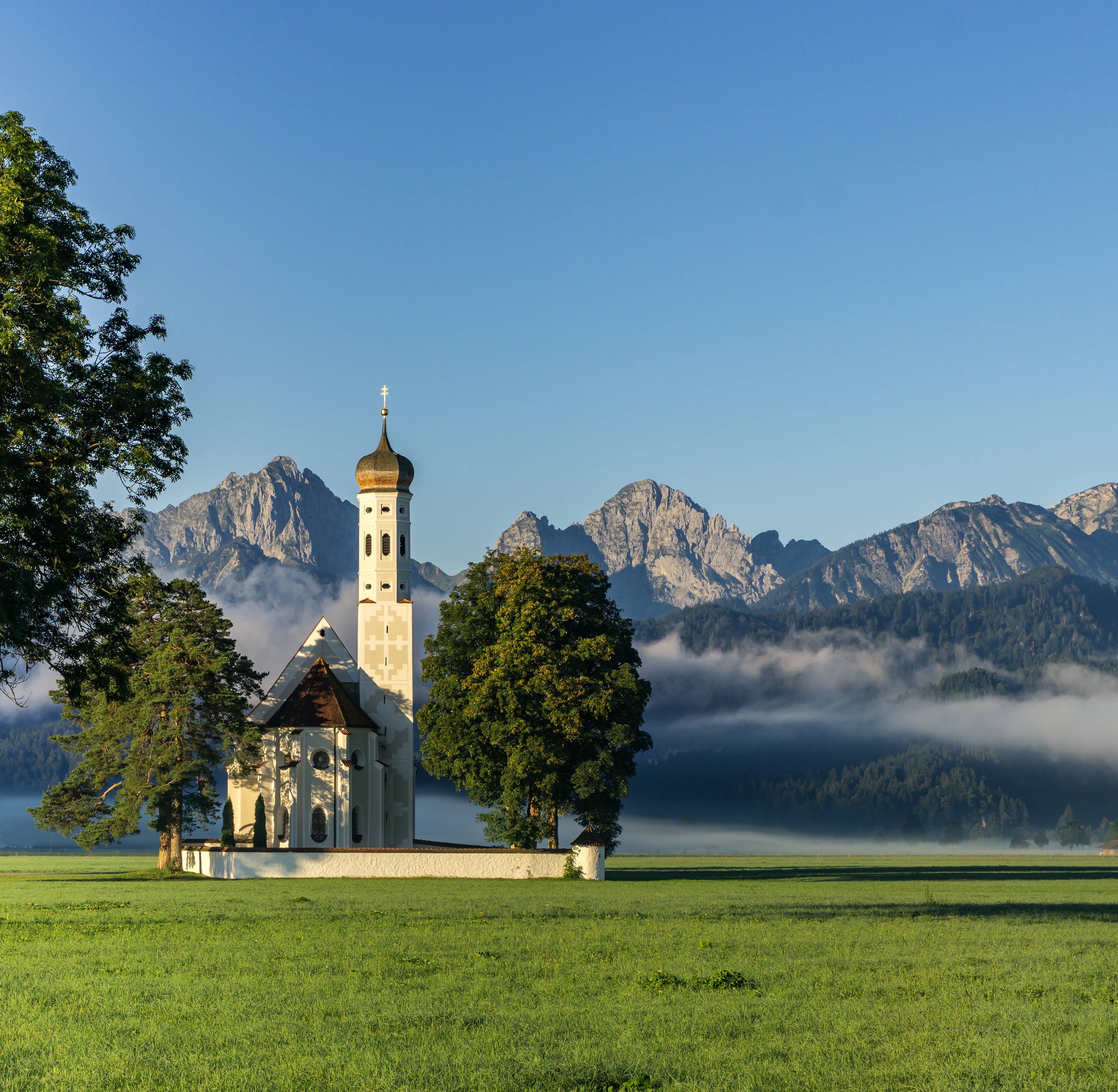 Blick über die Wiese auf  Schwangau