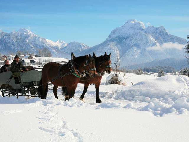 Pferdeschlittenfahrt im Allgäu im Winter
