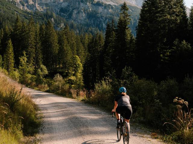 Radfahrerin auf Waldweg in den Allgäuer Alpen